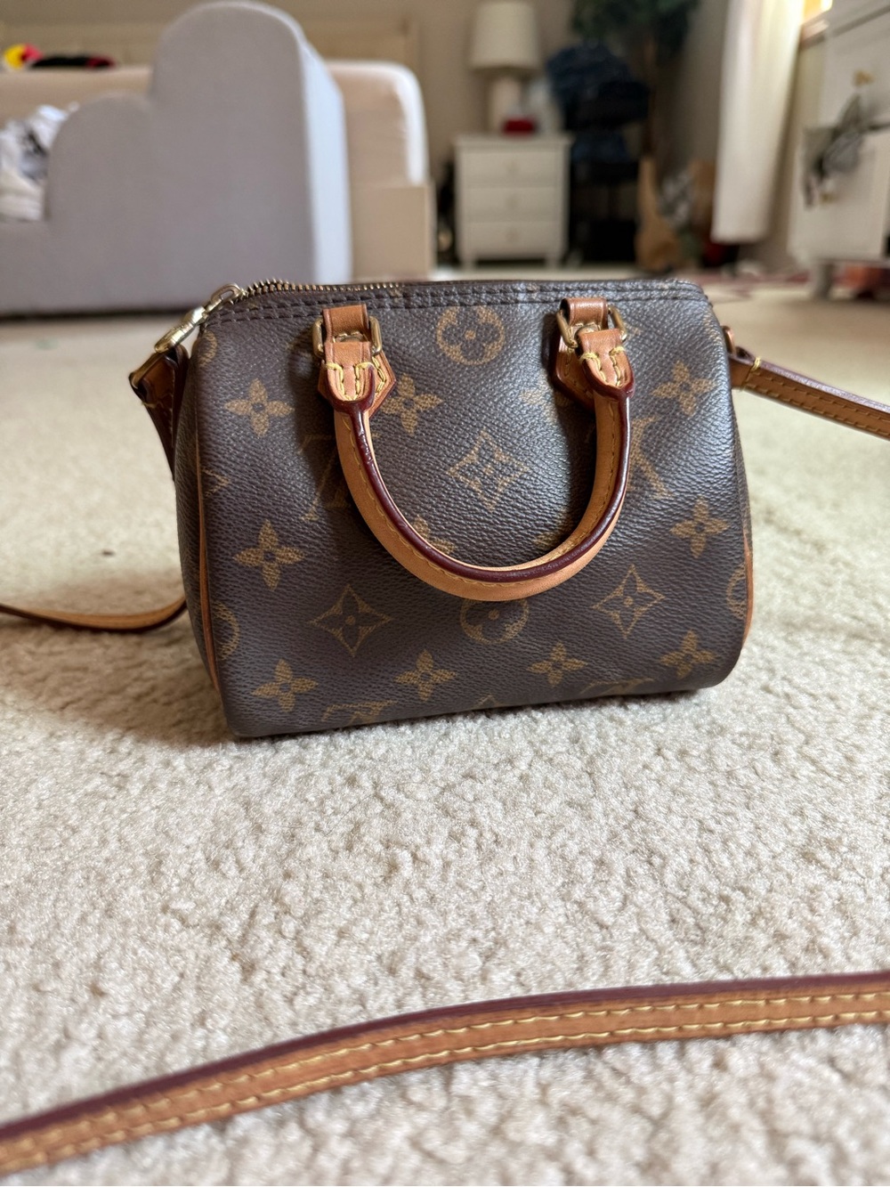 Louis Vuitton Mini Monogram Speedy Crossbody Bag in Brown and Tan